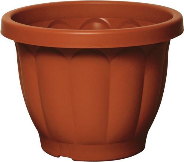 D.20 VASO DORICO