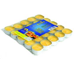 CITRONELLA TEALIGHT CONF.25PZ DM.36X17 ALLUM.M.ITALY
